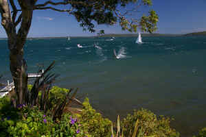 Image23.jpg (799423 bytes)